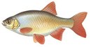 Лад - иконка «рыбалка» в Нижнеангарске